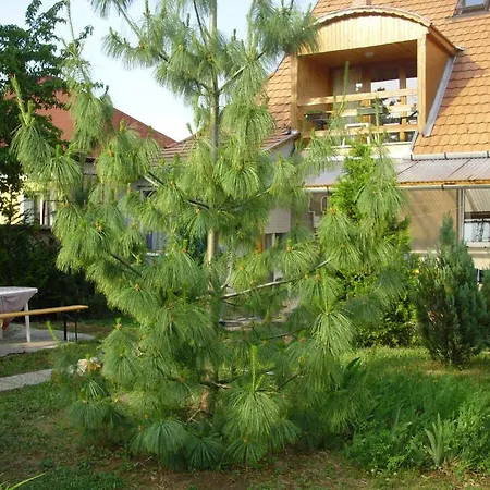 Apartmán Komfort *